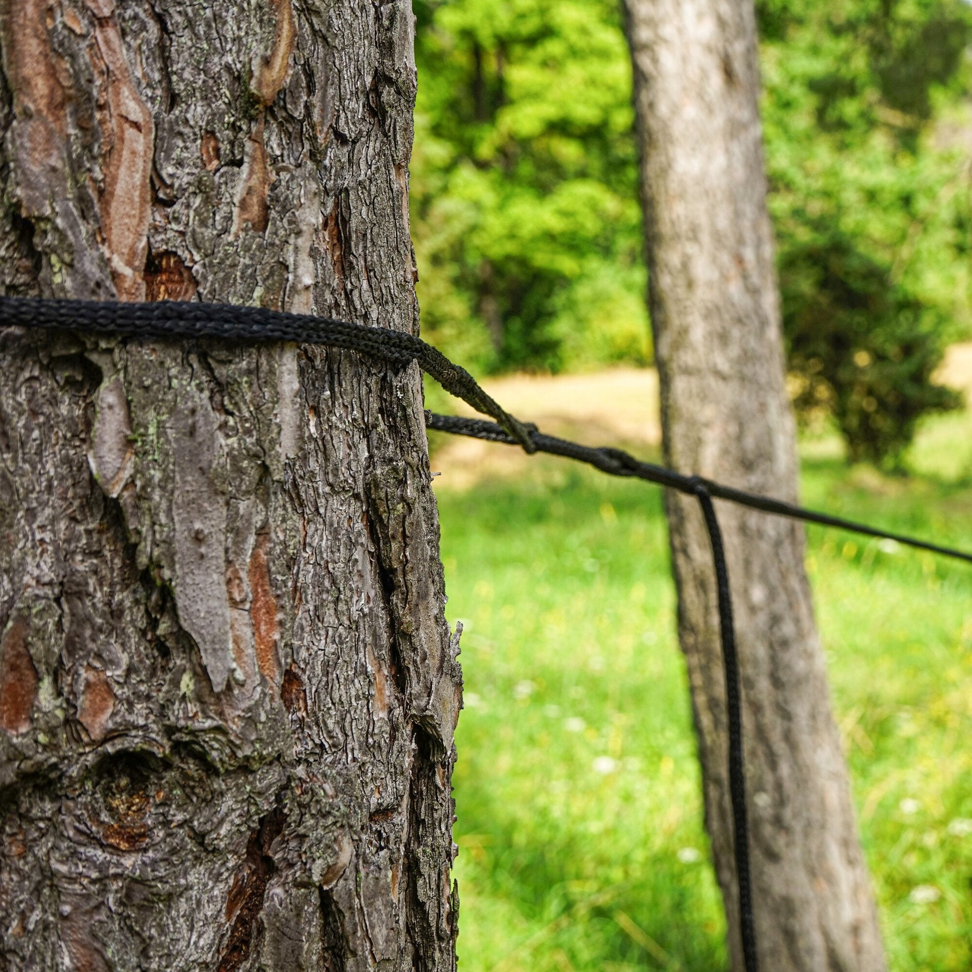 Cordelina universala , neagră, 1000 x 0,8 cm, KS Ropes UniRope - CampShop.ro