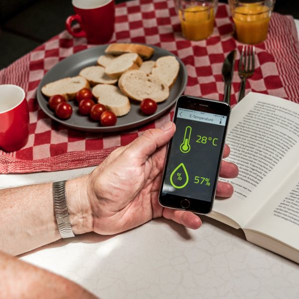 Senzor de temperatura e-Temperature pentru e-Trailer - campshop.ro