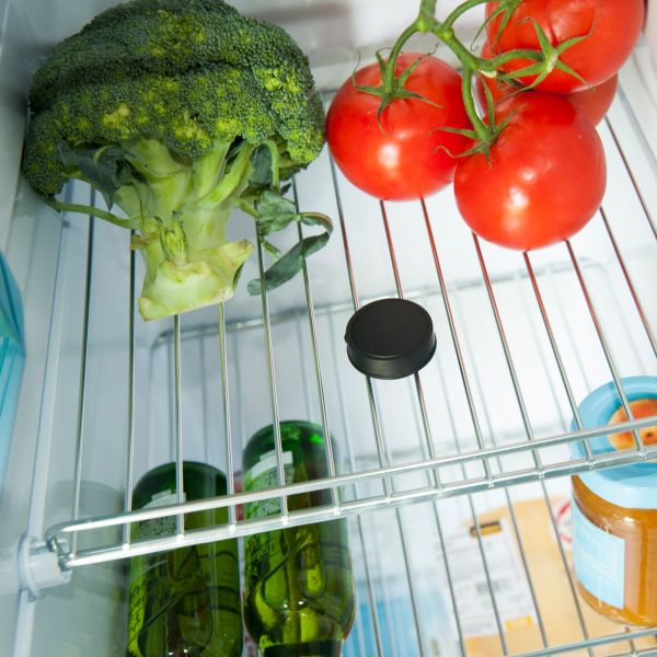 Senzor de temperatura e-Temperature pentru e-Trailer - campshop.ro