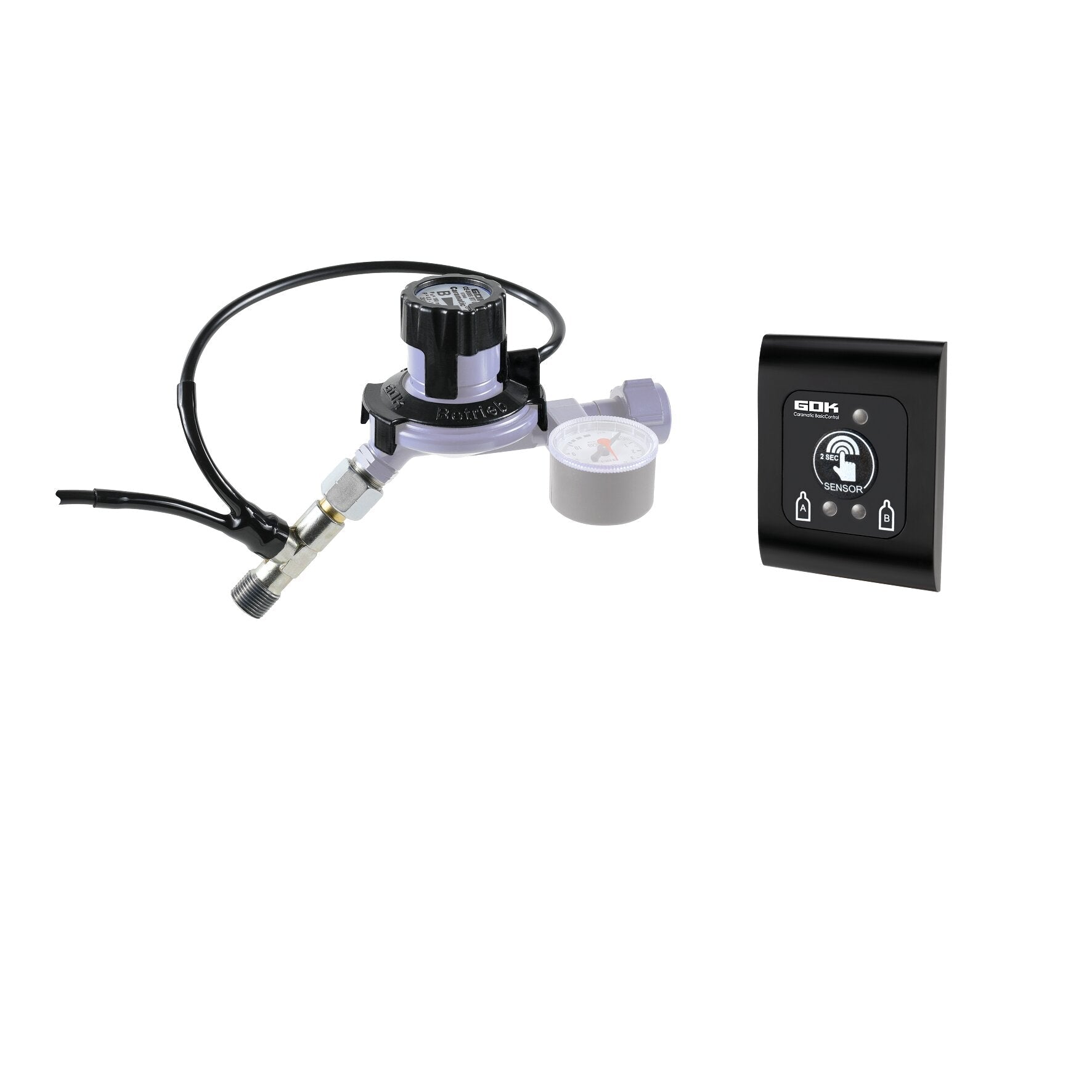 Sistem de control de la distanta Caramatic BasicControl (Caramatic BasicTwo) - CampShop.ro