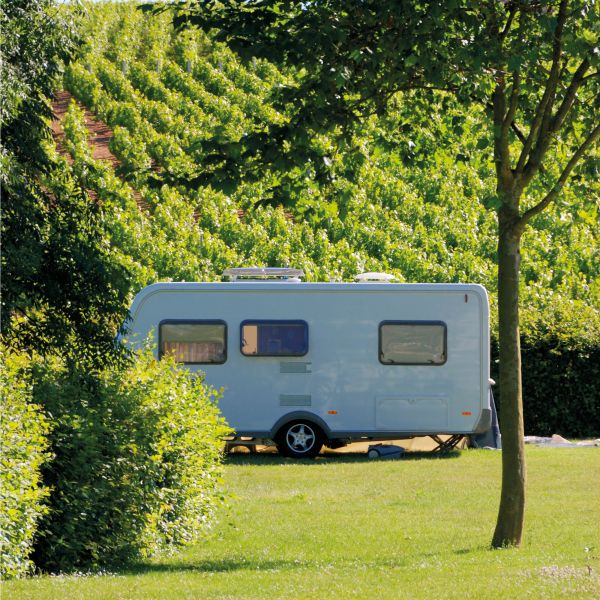 Ușă de vizitare Thetford - campshop.ro