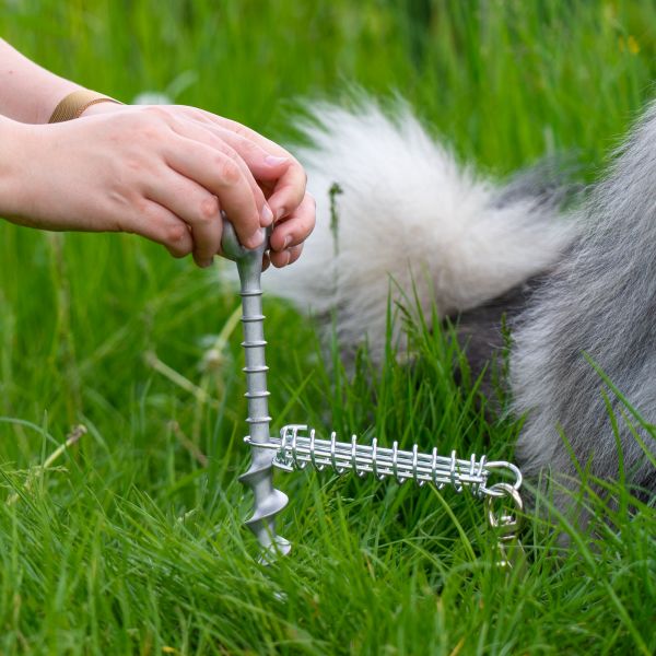 Cui pentru acorare lesa caine/pisici PEGGYPEG PetPeg - campshop.ro